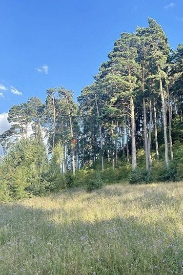 Teren zona Livezii - 6