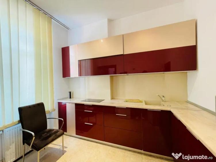 Parcul Carol I Vila de inchiriat pentru birouri - 9