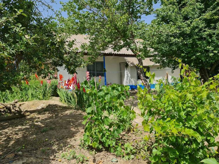 Delta Dunarii, Baltenii de Jos, casa batraneasca, teren 1500mp - 2