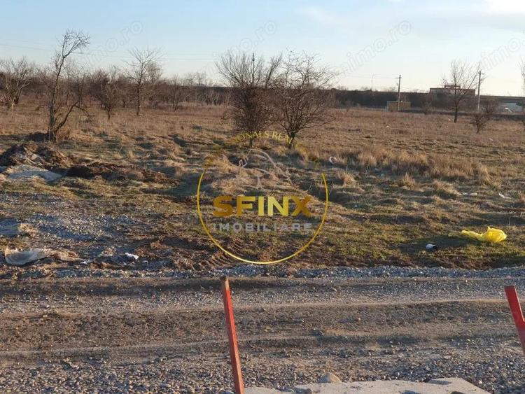 TEREN INTRAVILAN BRAGADIRU 5000mp| SOSEAUA ALEXANDRIEI | DESCHIDERE LA 2 STRAZI - 2