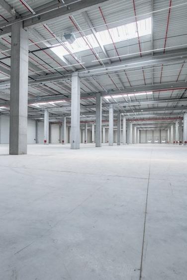 Spațiu industrial, 249500 mp în Chitila - 1