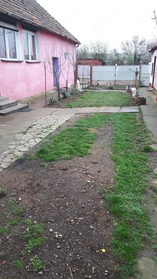 vinzare casa - 3