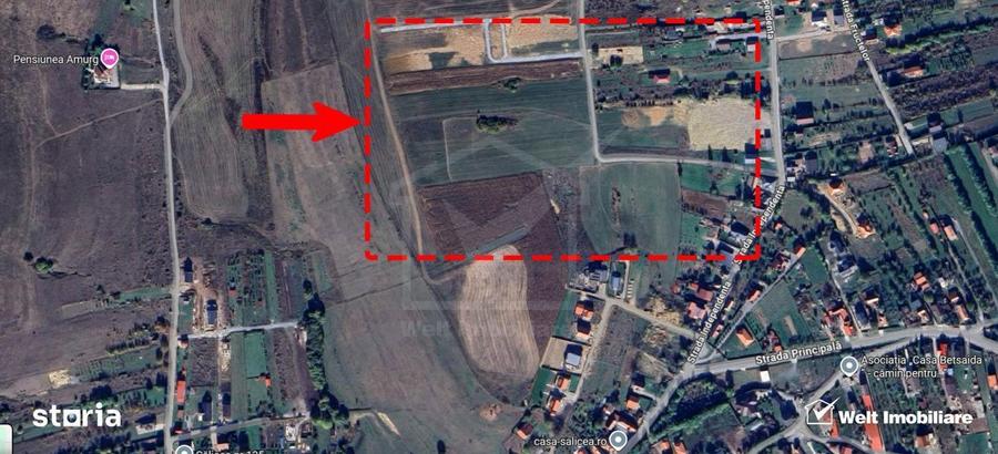 1500 mp front de 17,5 metrii - Teren cu potential excelent in Salicea - 2