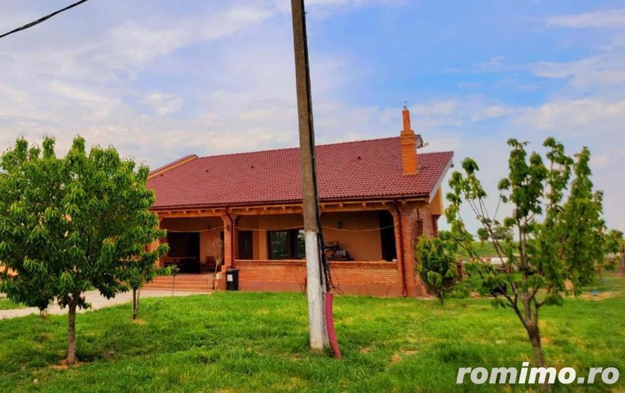 Domeniu, 9,5 ha, 25 KM de Timisoara - 12