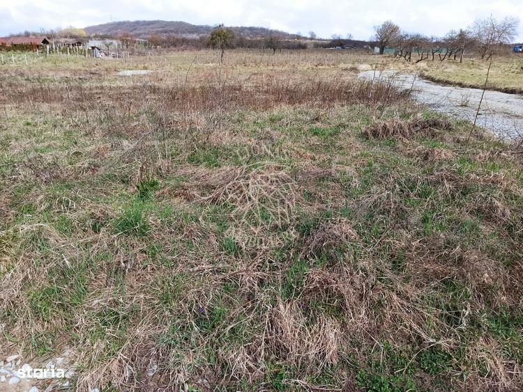 Teren intravilan 500 mp-ideal casa-Zona Dr. Tarpiului - 1