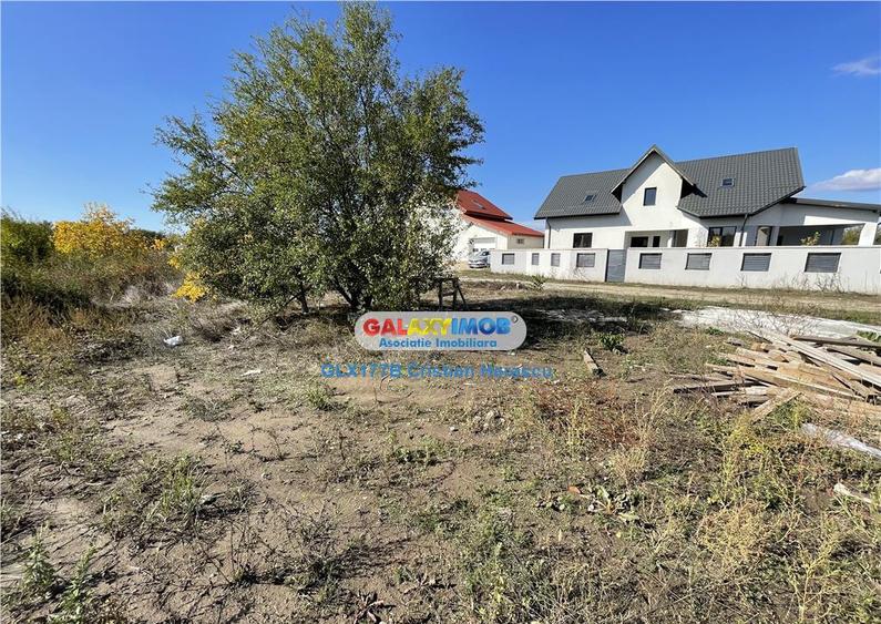 Gulia Tartasesti Str Samurcasi 482 mp deschidere 25 ml - 14