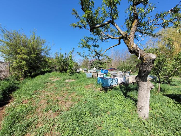 Fermă de vânzare - DN3 - 84m deschidere - 2