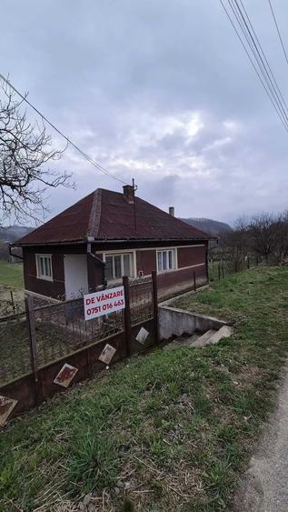Vand proprietate situata in zona foarte linistita si pitoreasca - 1
