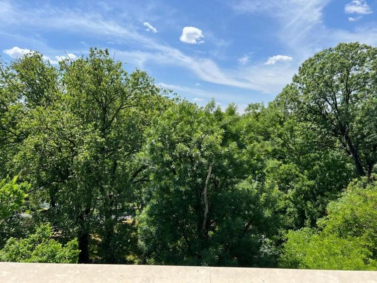 Apartament 4 camere Lux cu vedere in Parc Cismigiu - 17