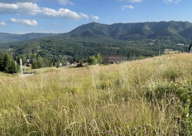 Teren de vanzare 1251 mp in Colibi?a, cu panorama su - 2