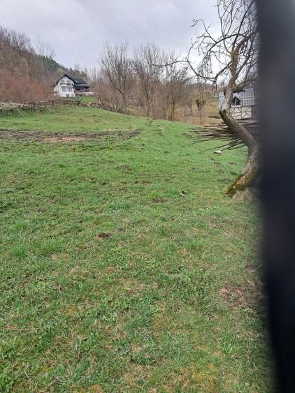 Vand teren intravilan Valea Doftanei - 1200 mp - 1