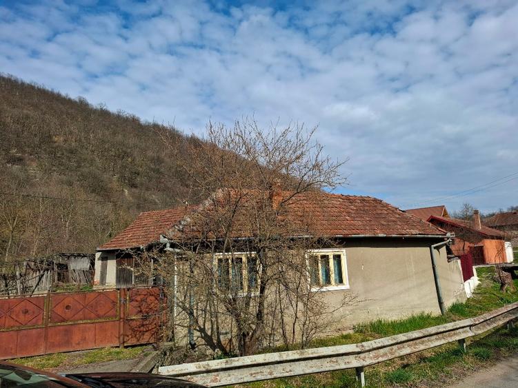 Vând casa Stancesti (Dobra) - 2