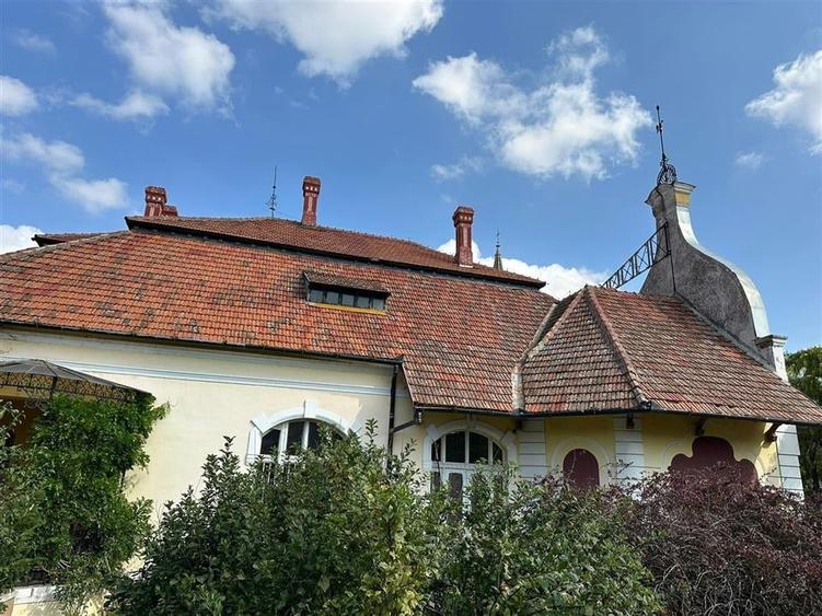 Conac Unicat Timis - 19