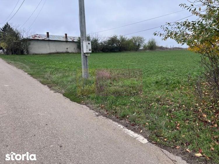 Teren Comana- strada Funieru. - 4