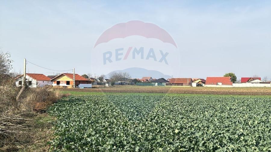 Teren intravilan de vanzare, 11.600 mp - Tarian, Girisul de Cris - 4