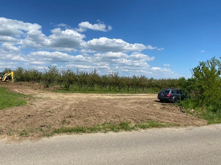 Loturi de teren ! - 5