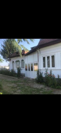 Casa de vanzare cu vie - 8