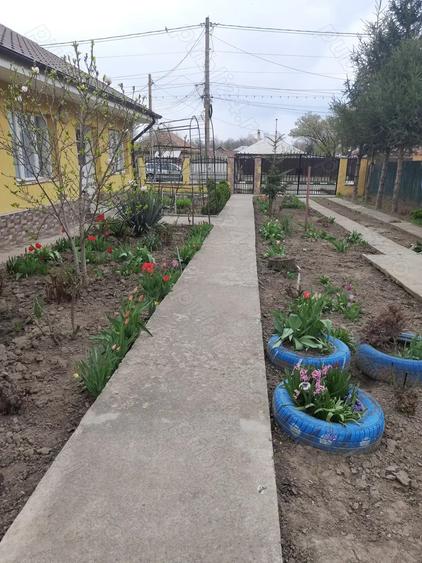 De vanzare, fara schimb - 1