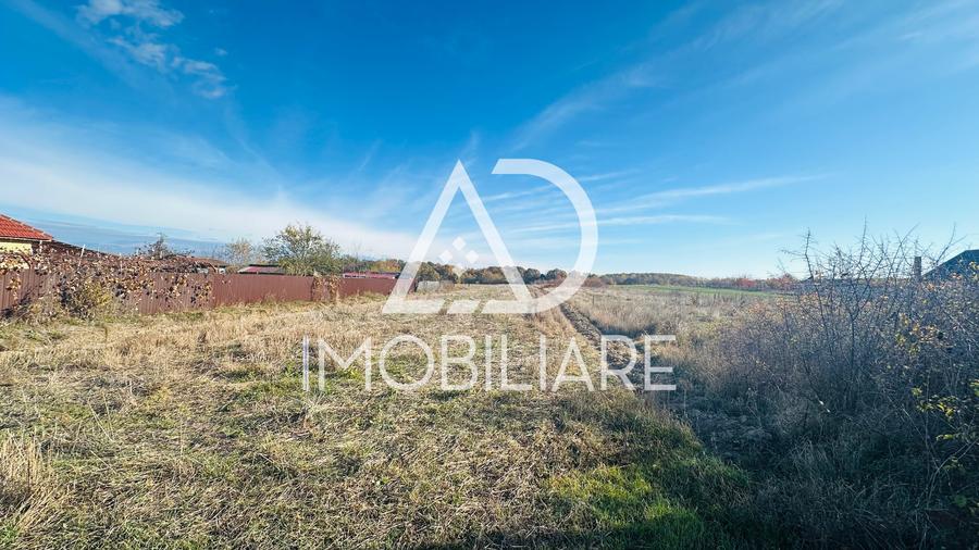 Teren de vânzare Dănești, Sasa / 8 km de oraș - 3