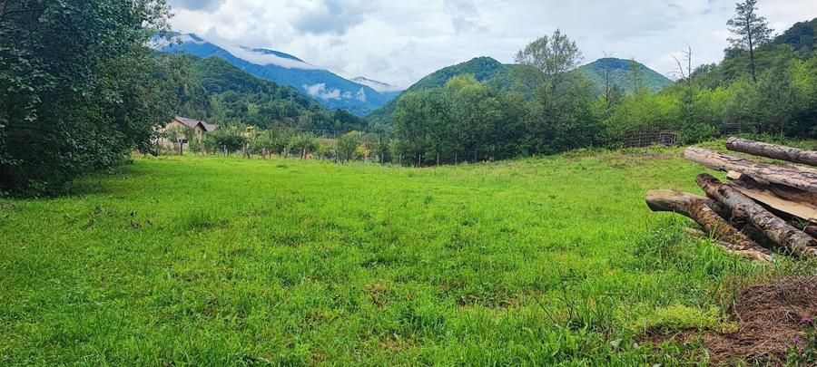 Teren 5600mp in localitatea Malaia - 6