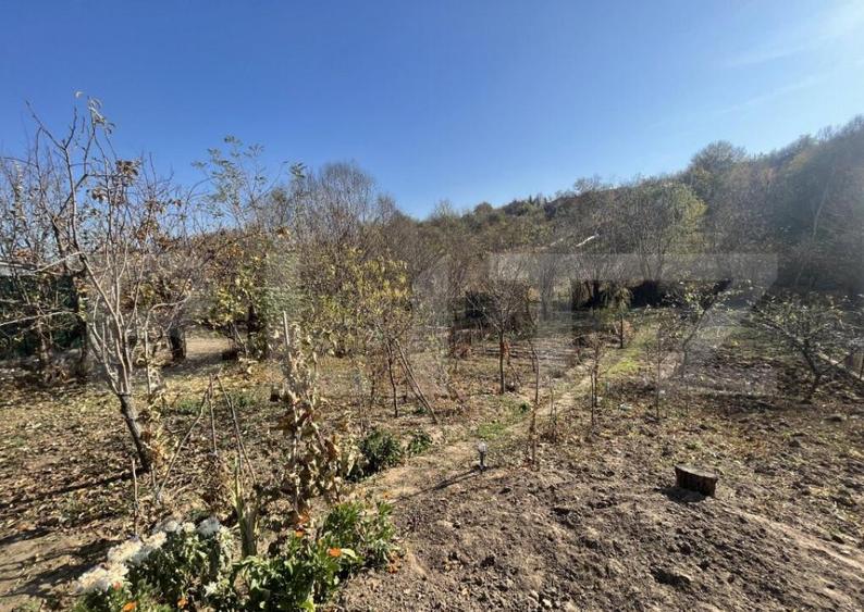 Casa de 160 mp utili, cu 750 mp de teren, in Cosoveni - 7