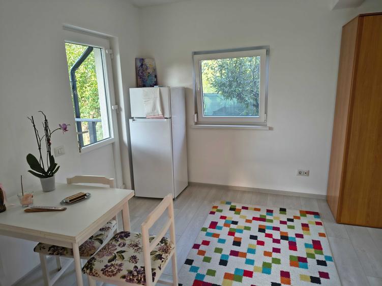 Casă cu 2 camere cu Teren 250 Mp în Lisaura