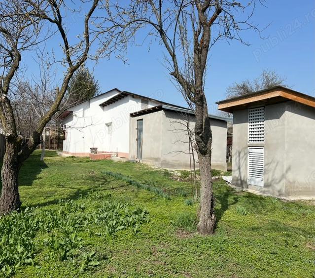 Vand Casa Crivina Jud Giurgiu - 9