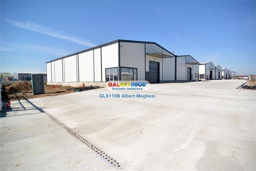 Vanzare Hala Depozitare 565 mp Afumati - 1