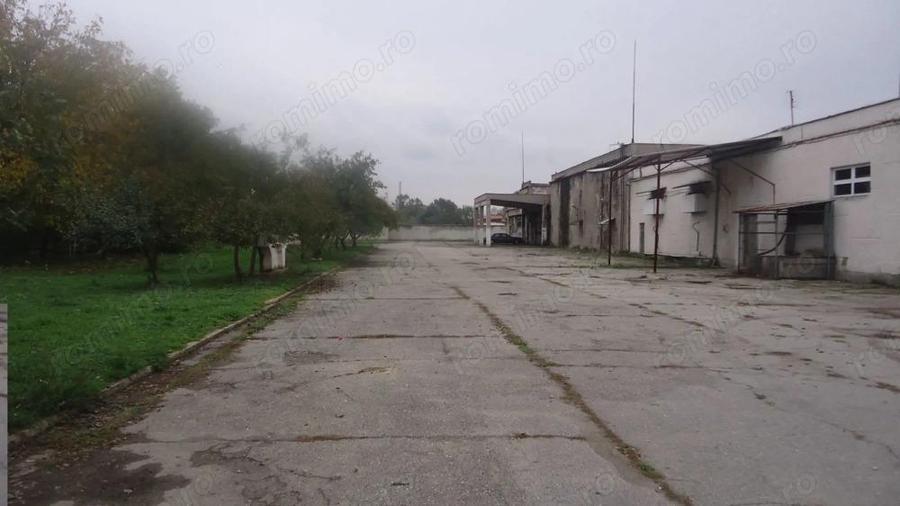 Hala depozitare / produc?ie, 10000 mp - 5