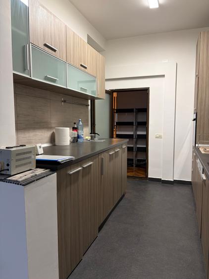 Parcul Carol - parter de bloc, curte, acces separat, centrala proprie - 7