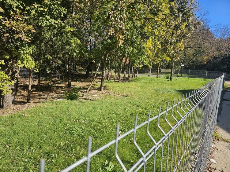 Mangalia, str Ferdinand nr 32, Jupiter - 7