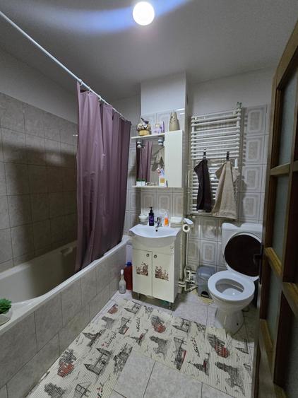 Utvin-Central-Vila S+P+E+M-360mp-2 accese-Garaj - 18