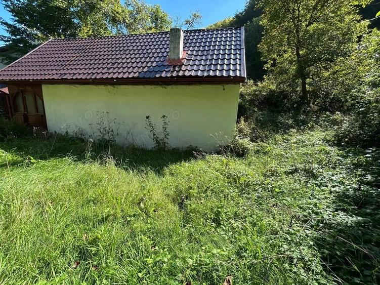 Cabana de vanzare, Valea Manastirii - Ramet - 2