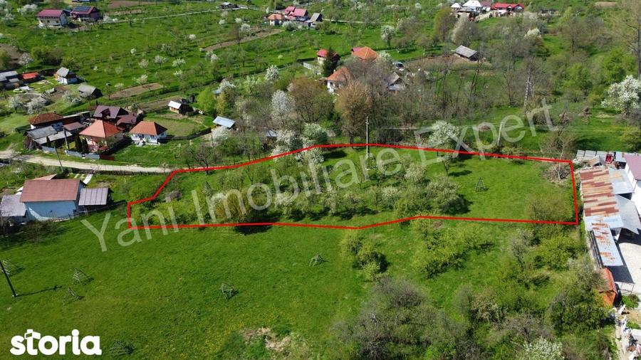 Teren 2677 mp de vanzare in comuna Valea Ia?ului, jude? Arge?. - 10
