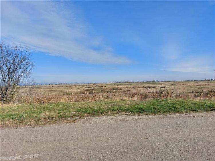 OCAZIE!!! Teren industrial in Chisineu Cris, la doar 20 euro mp! Parcelare la ce - 3