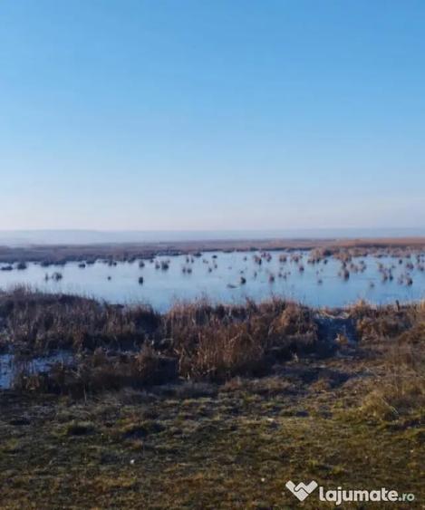 Vand teren intravilan 4000MP cu dechidere la Delta Neajlovu - 4