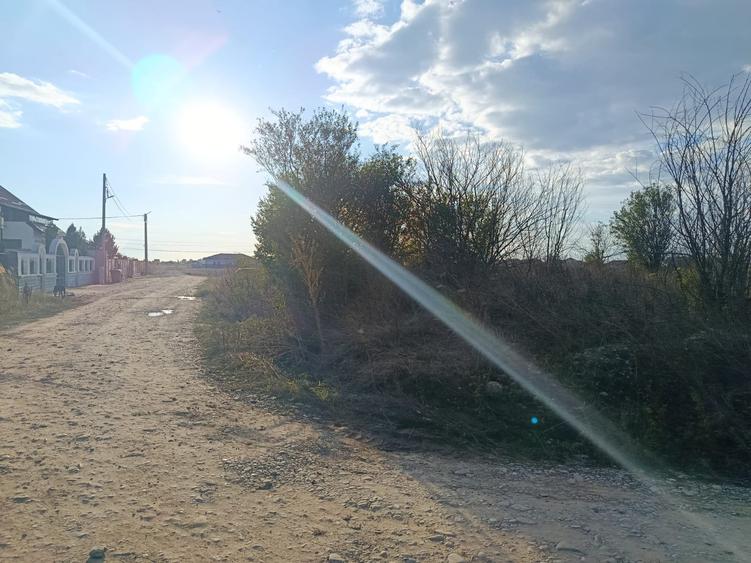 Teren pentru Constructii str.Ortansei -str Orhideei deschidere 364m pe 30m - 4