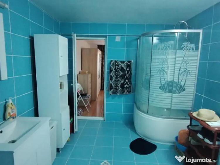 Casa P+1+M, 185 mp, teren 590 mp, Leamna de jos - 7