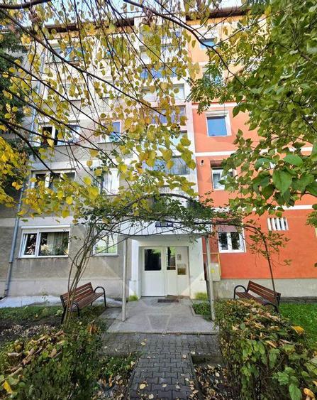 Apartament doua camere Gura Campului Medias - 6