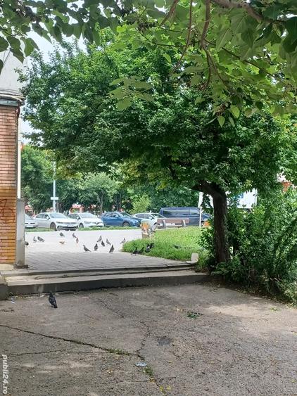 ap cu 3 cam 2 bai 84mp decomandat zona la 1 min de penny orizont - 5