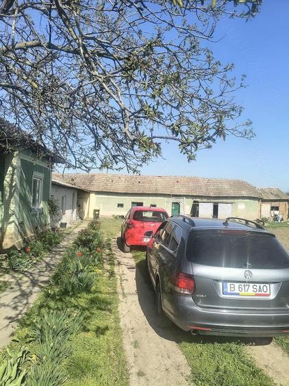 Casa vanzare sat frumoasa teleorman - 5