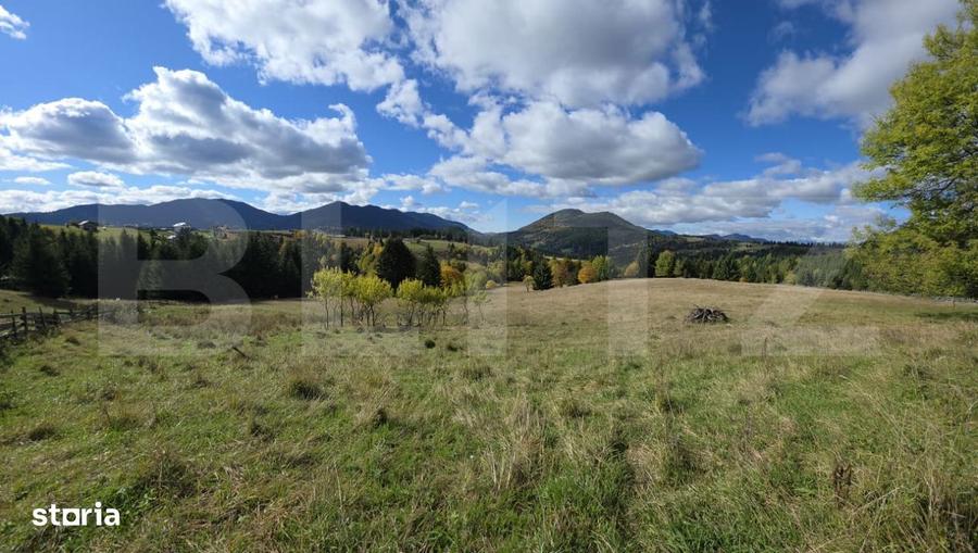 Teren 1,5 hectare - la Piatra Fantanele - 4