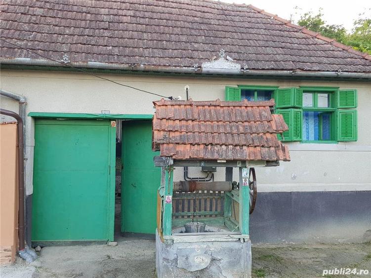 Vand casa de vacan?a Farliug - 3