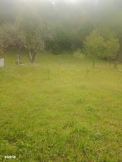 Vand casa ,zona Mun?ilor Apuseni !!! - 5