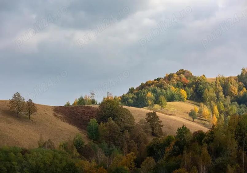 Teren de 2 Hectare (20.000 mp) cu doua case restaurate Tarnova, Cara?-Severin - 5