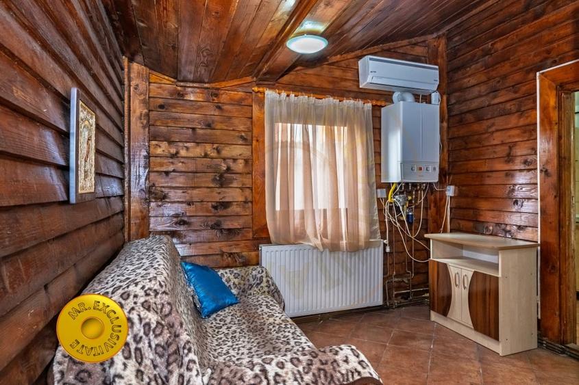 Doua case in aceeasi curte Pitesti, Strada Turcesti - 9