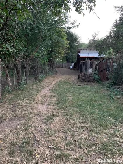 teren intravilan comuna izvoarele sat homoraciu prahova - 1