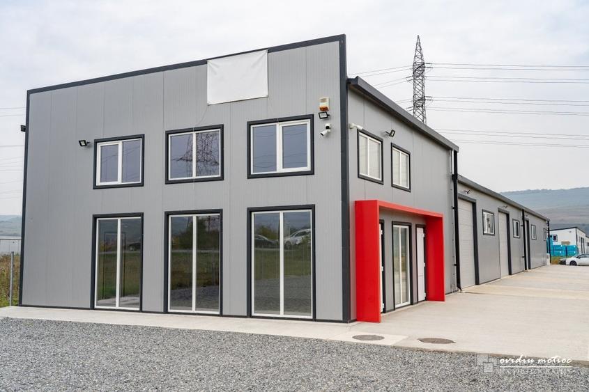 Hala 2022 singur la curte - 14