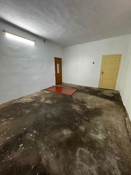 Vanzare/Inchiriere Spatiu Comercial 100mp - Str. Mioritei, Nr:2, Carei - 5