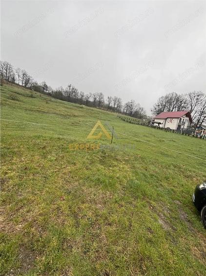 Teren intravilan de vanzare - 4